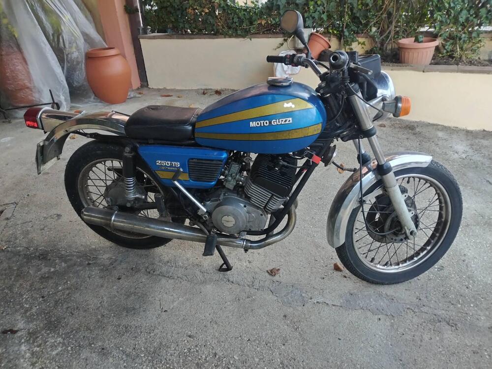 Moto Guzzi Ts 250 (2)