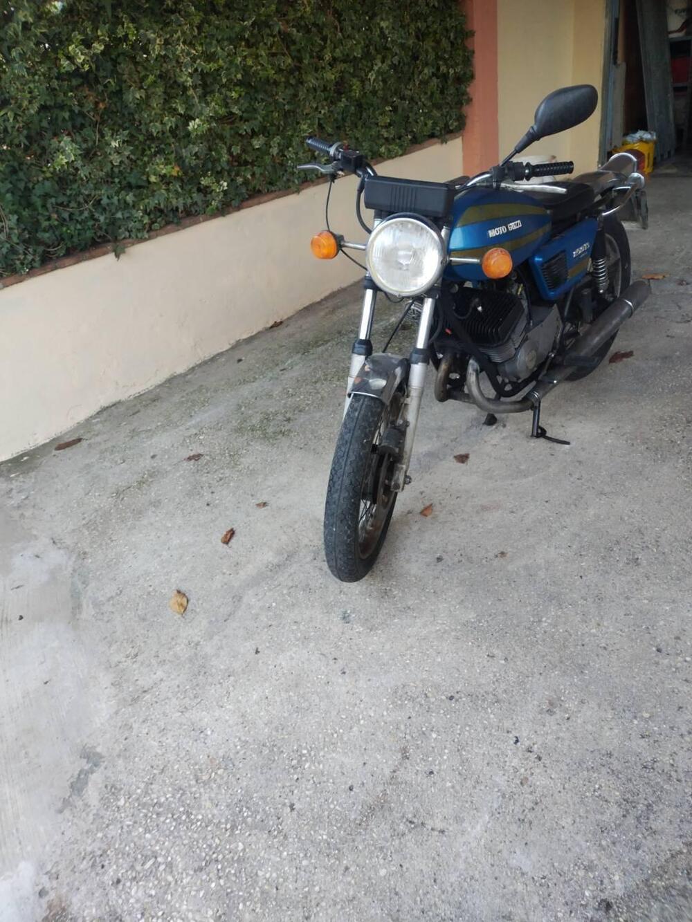 Moto Guzzi Ts 250 (3)