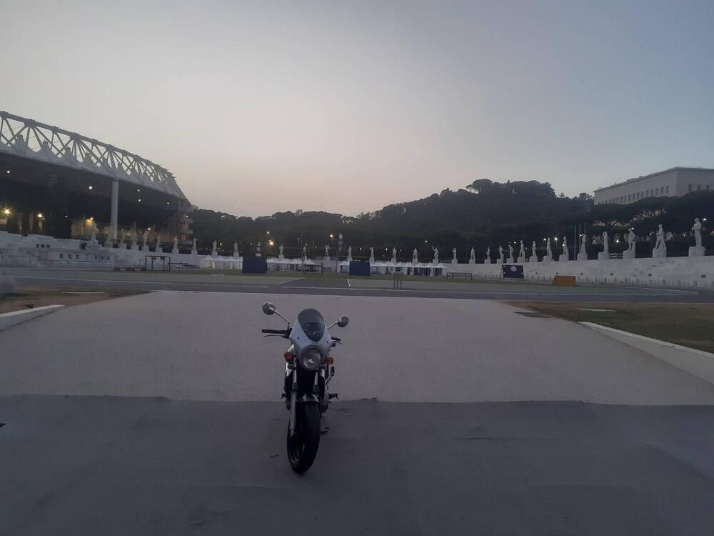 Kawasaki ER-5 500 (2001 - 06) (6)