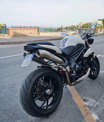 Triumph Speed Triple 1050 ABS (2011 - 15) usata