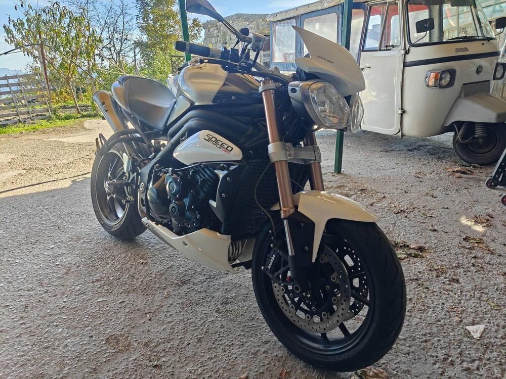 Triumph Speed Triple 1050 ABS (2011 - 15) (7)
