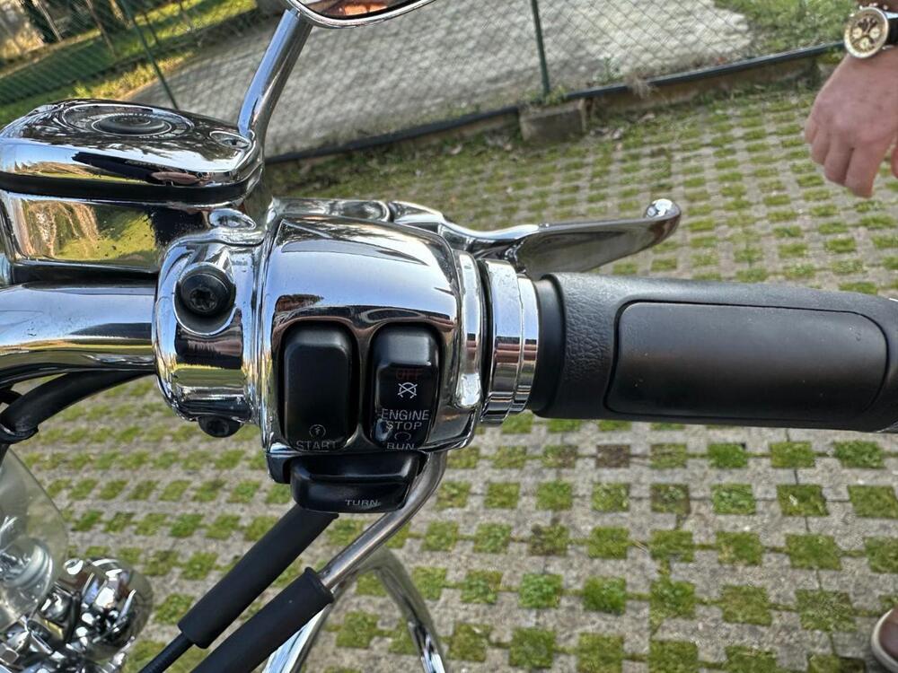 Harley-Davidson 1450 Road King (1999 - 03) - FLHR (16)