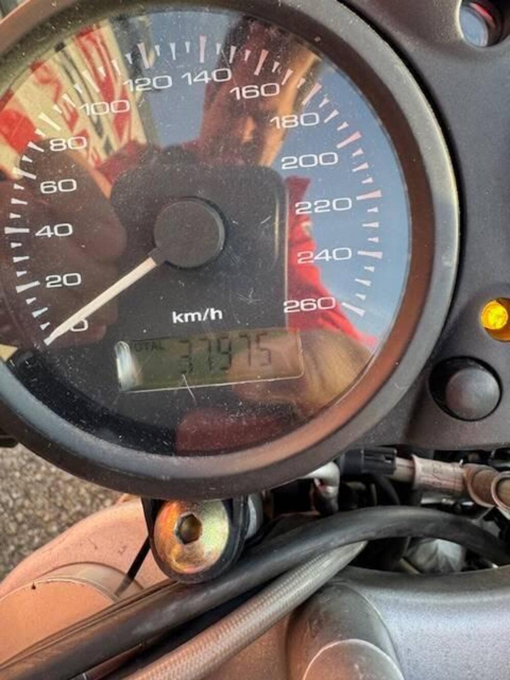 Ducati Monster 620 Dark (2003 - 06) (5)