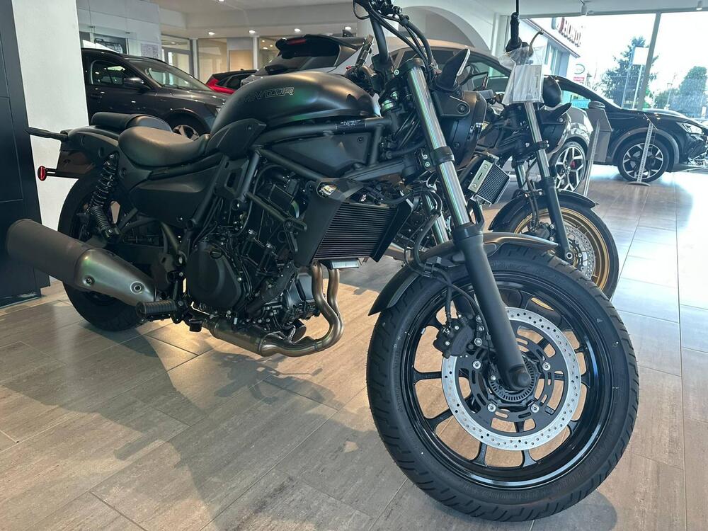 Kawasaki Eliminator 500 (2024 - 26) (4)