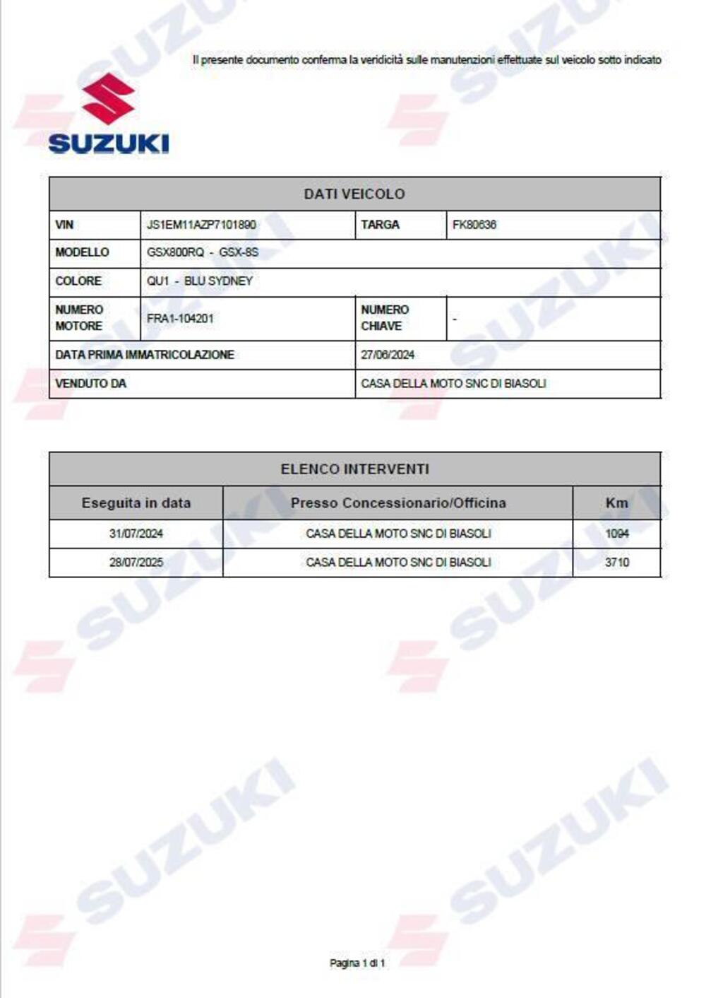 Suzuki GSX-8S (2023 - 24) (20)