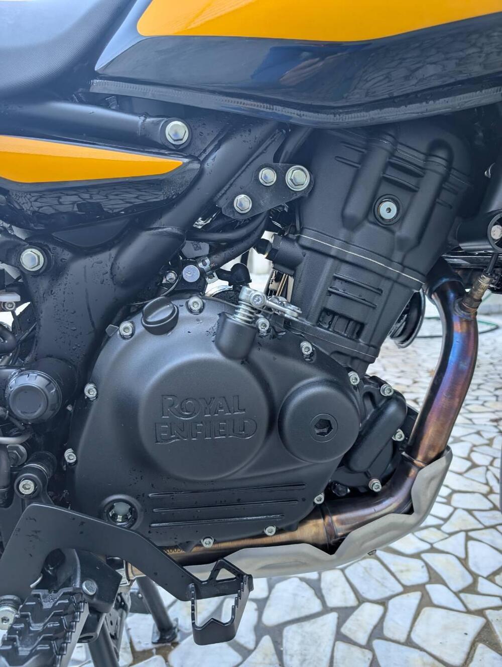 Royal Enfield Himalayan 450 (2024 - 25) (4)