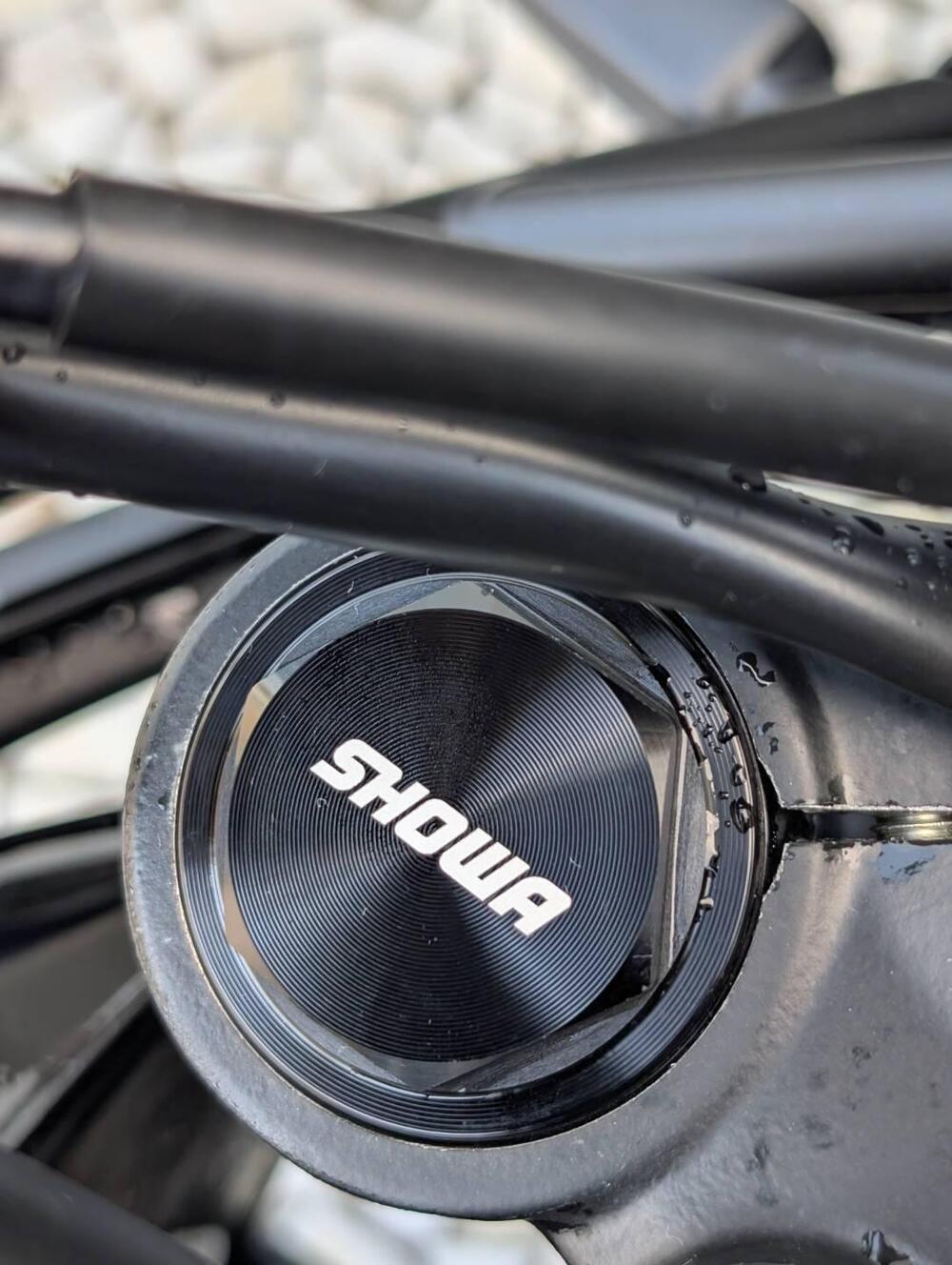 Royal Enfield Himalayan 450 (2024 - 25) (7)