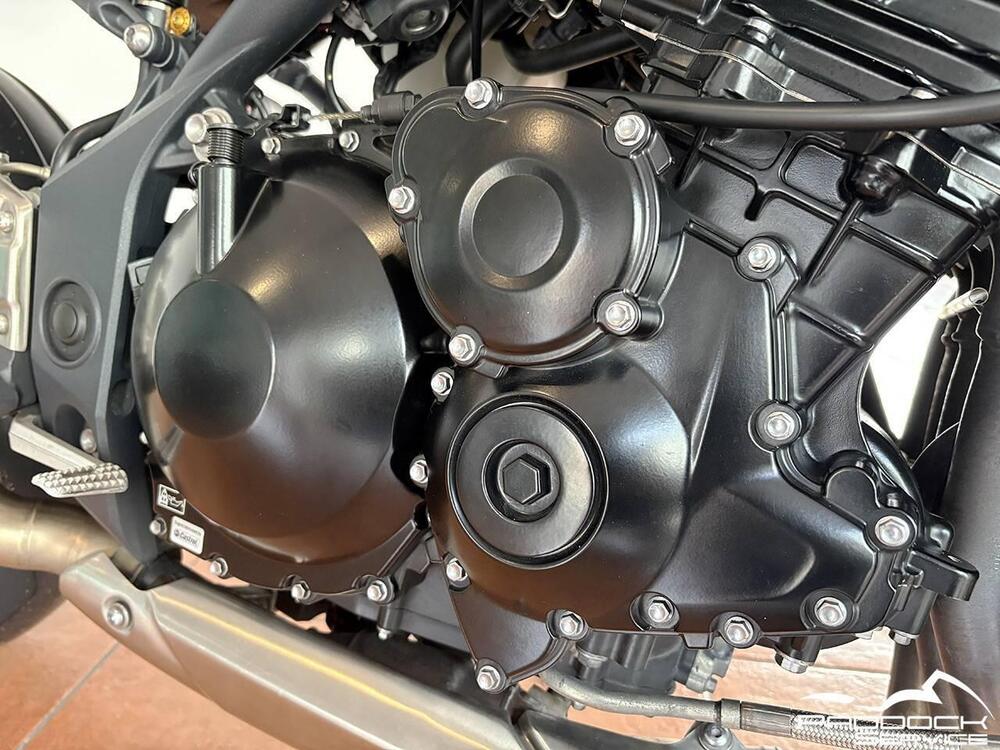 Triumph Speed Triple 1050 (2011 - 13) (11)