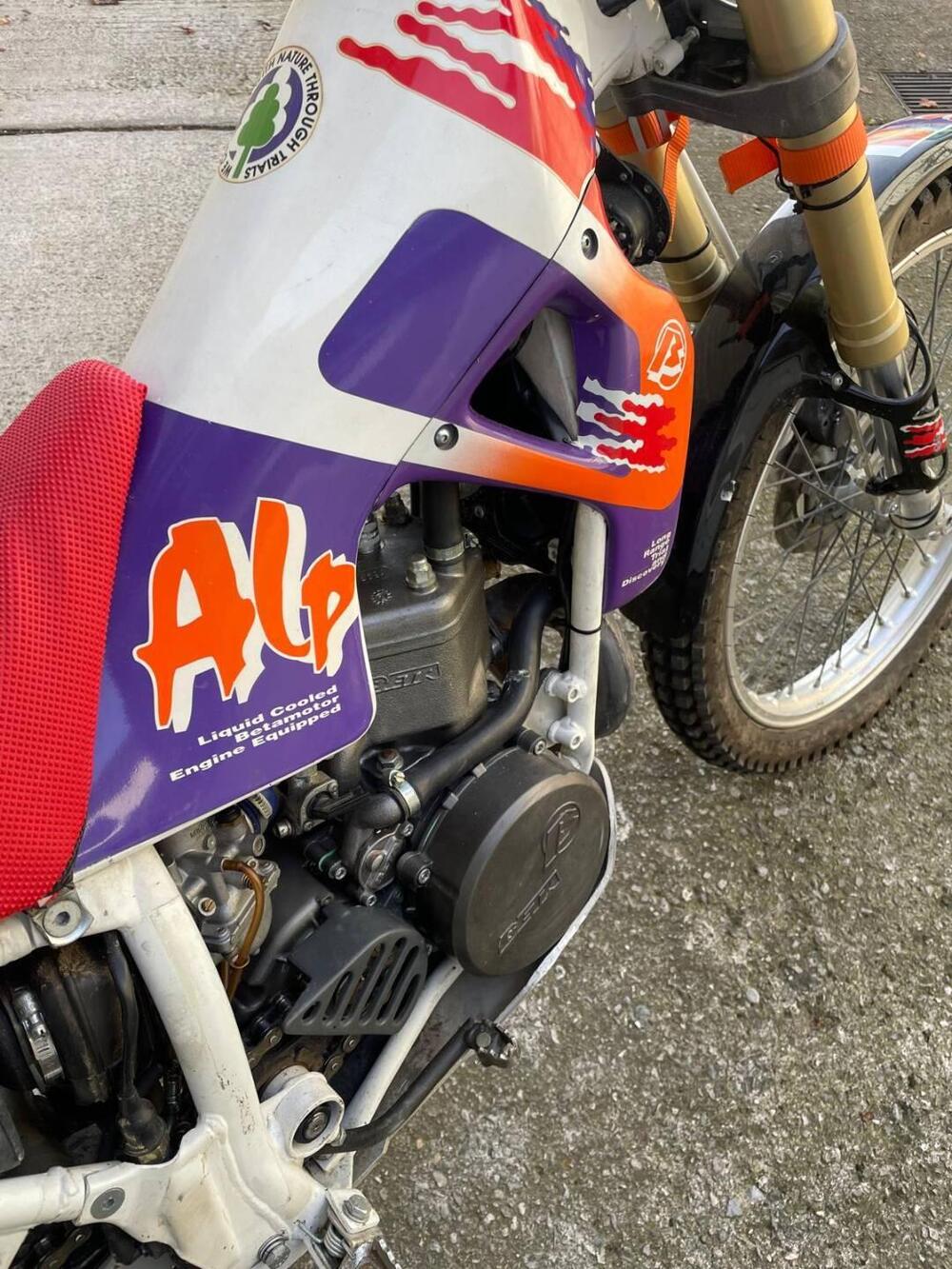 Betamotor Alp 250 (1996) (3)