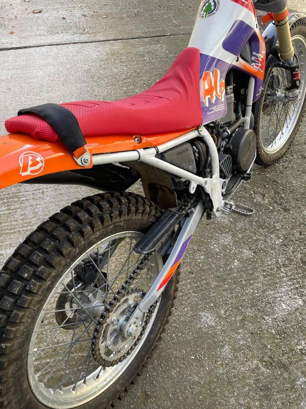 Betamotor Alp 250 (1996) (4)