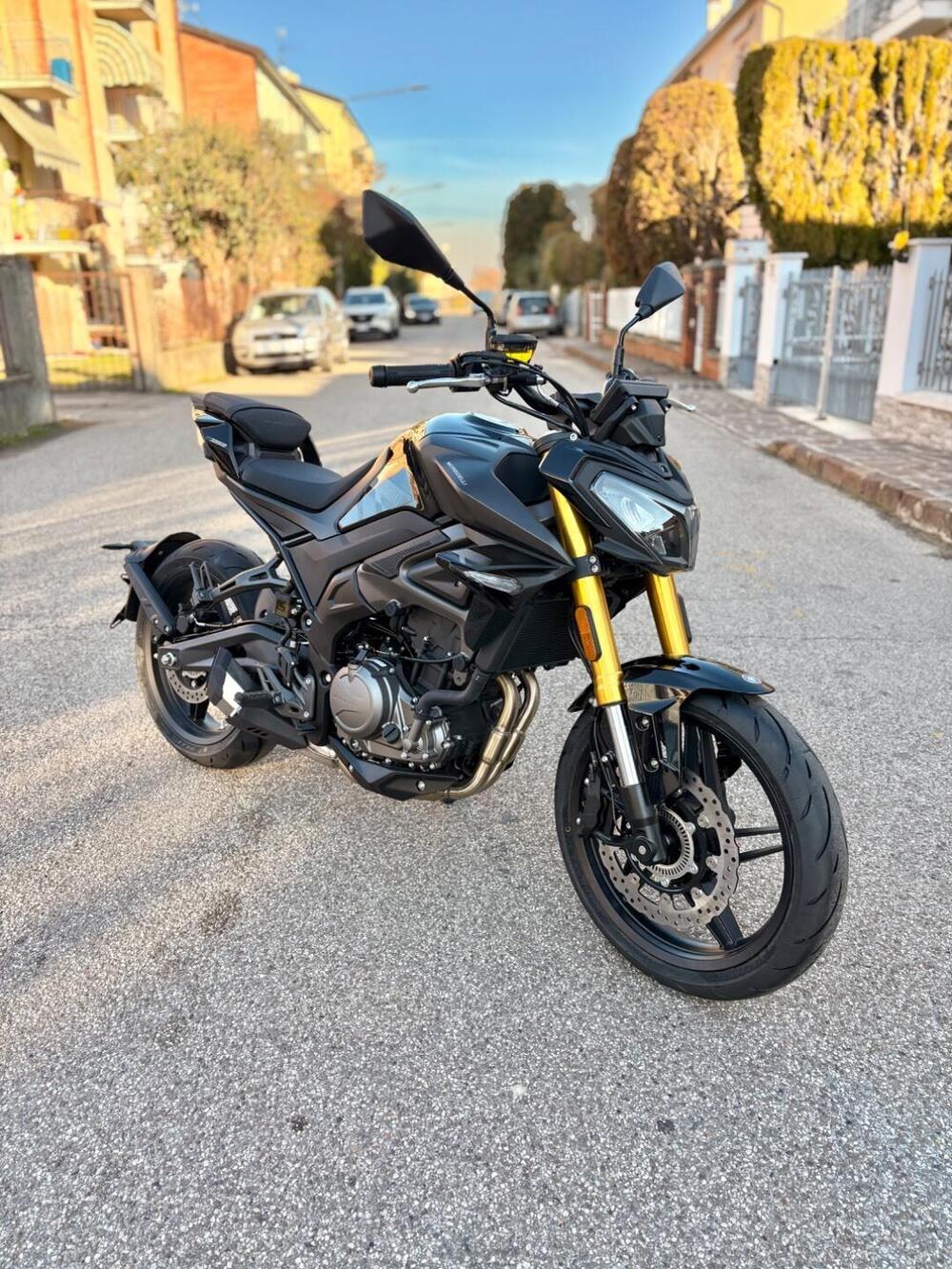 Morbidelli F352 (2026) (3)