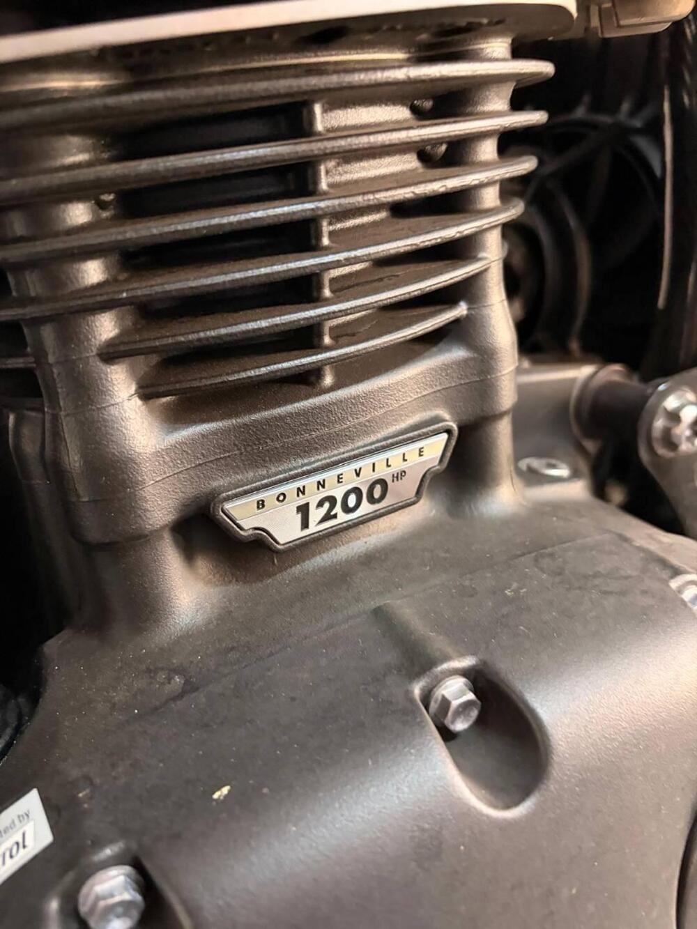 Triumph Speed Twin 1200 (2019 - 20) (12)