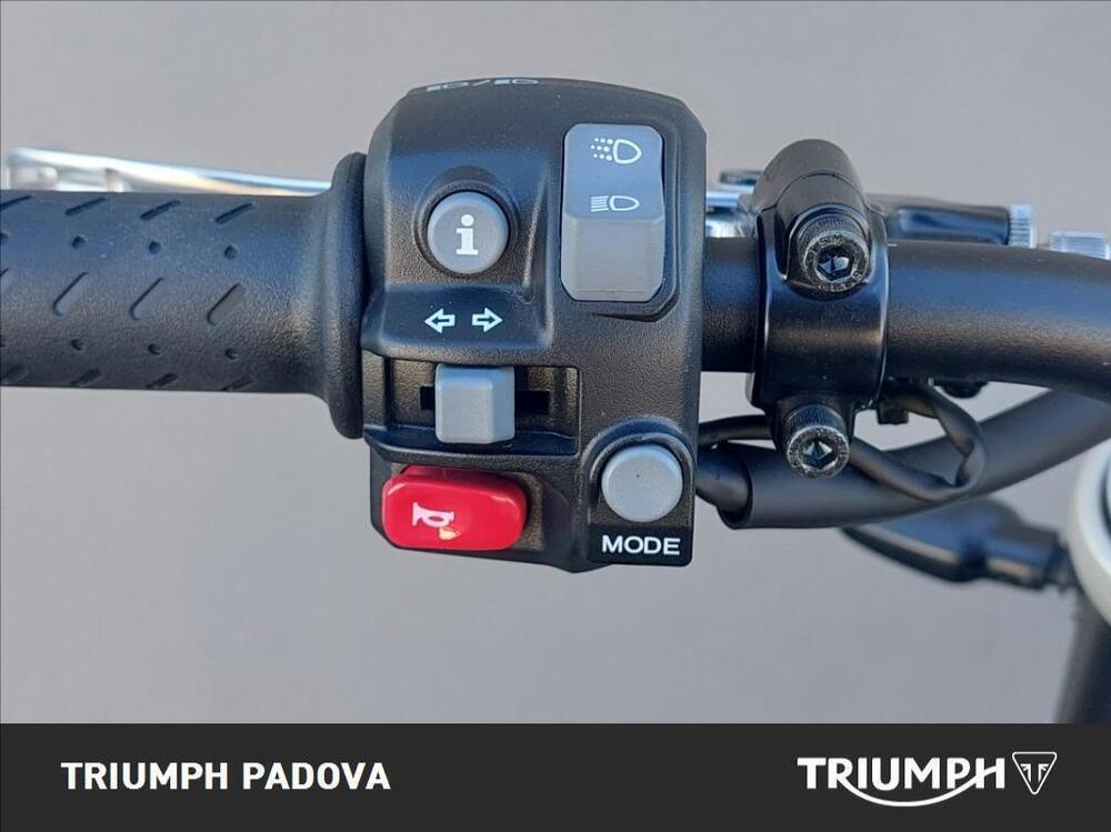 Triumph Speed Twin 1200 (2021 - 24) (12)