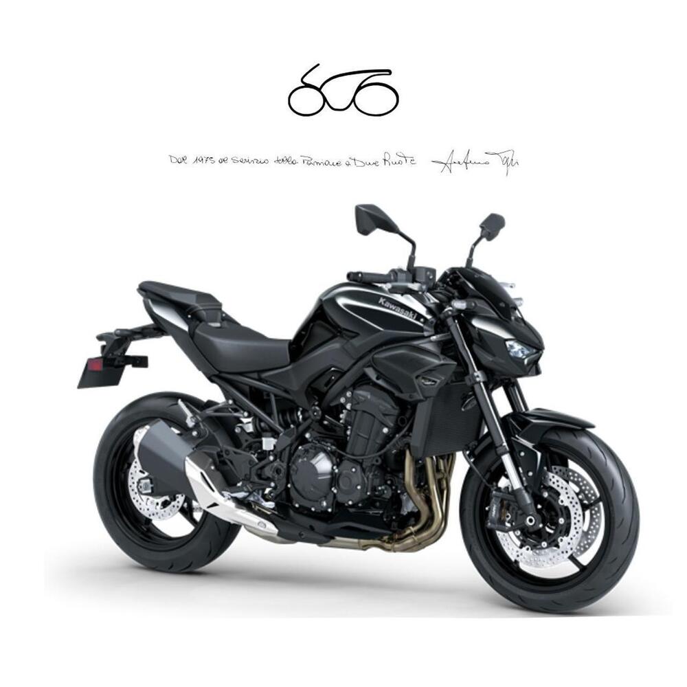 Kawasaki Z 900 (2025 - 26)