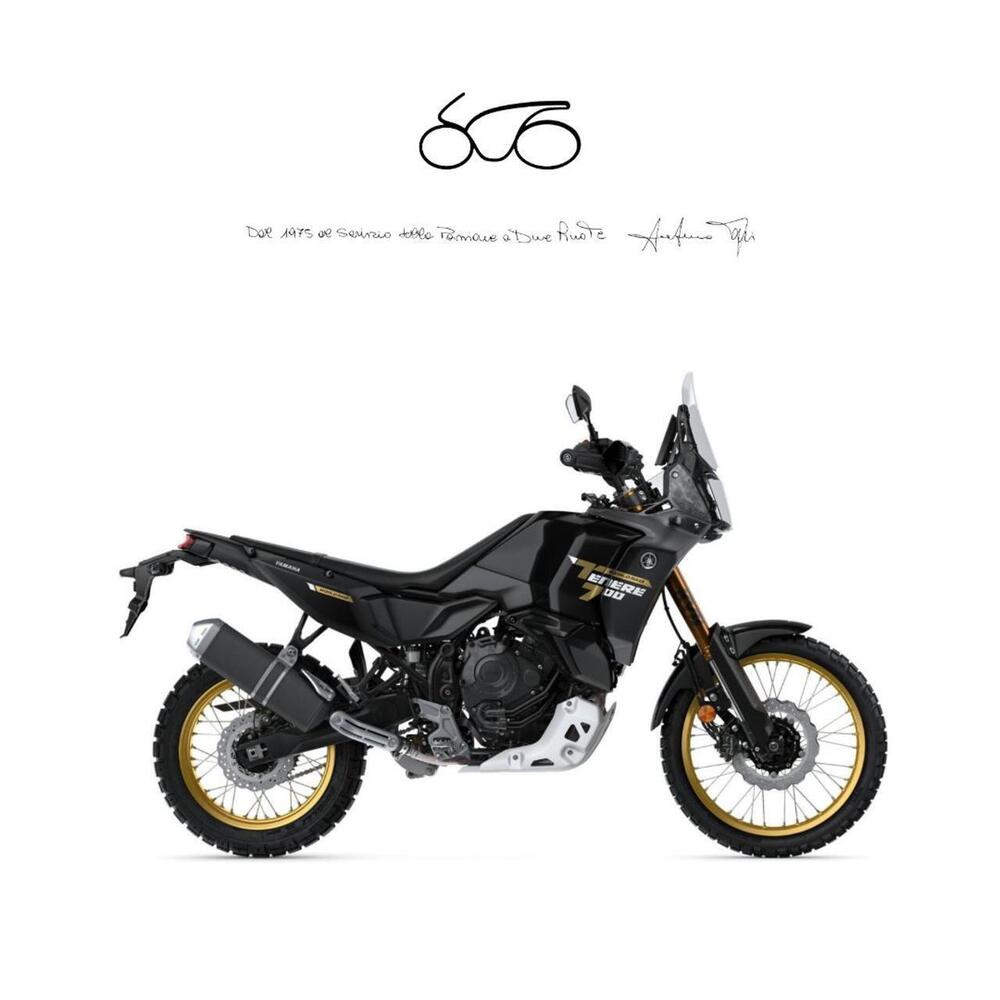 Yamaha Ténéré 700 World Raid (2022 - 25)