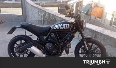 Ducati Scrambler 800 Icon (2015 - 16) usata