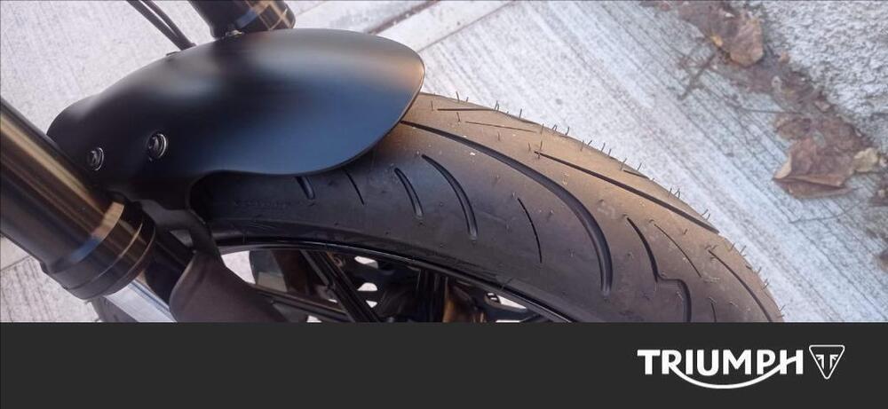 Ducati Scrambler 800 Icon (2015 - 16) (7)