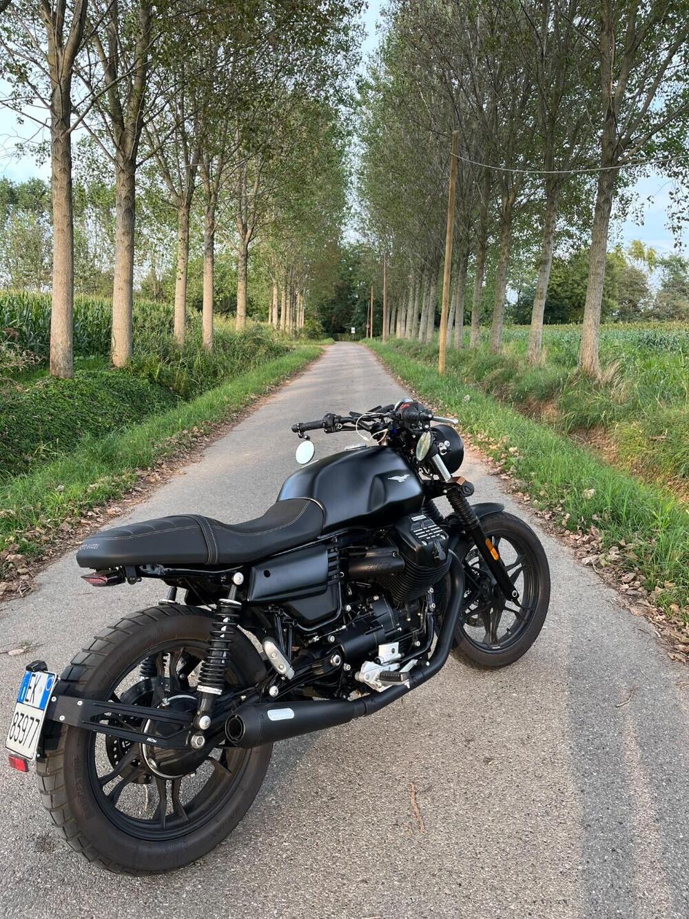 Moto Guzzi V7 III Stone (2017 - 20) (14)