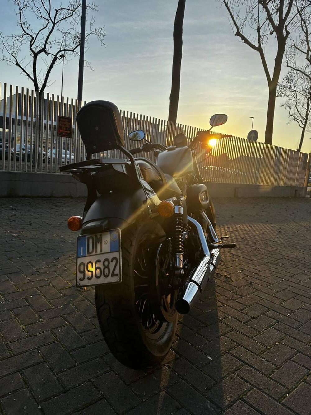 Harley-Davidson 883 Iron (2009 - 11) - XL 883N (3)