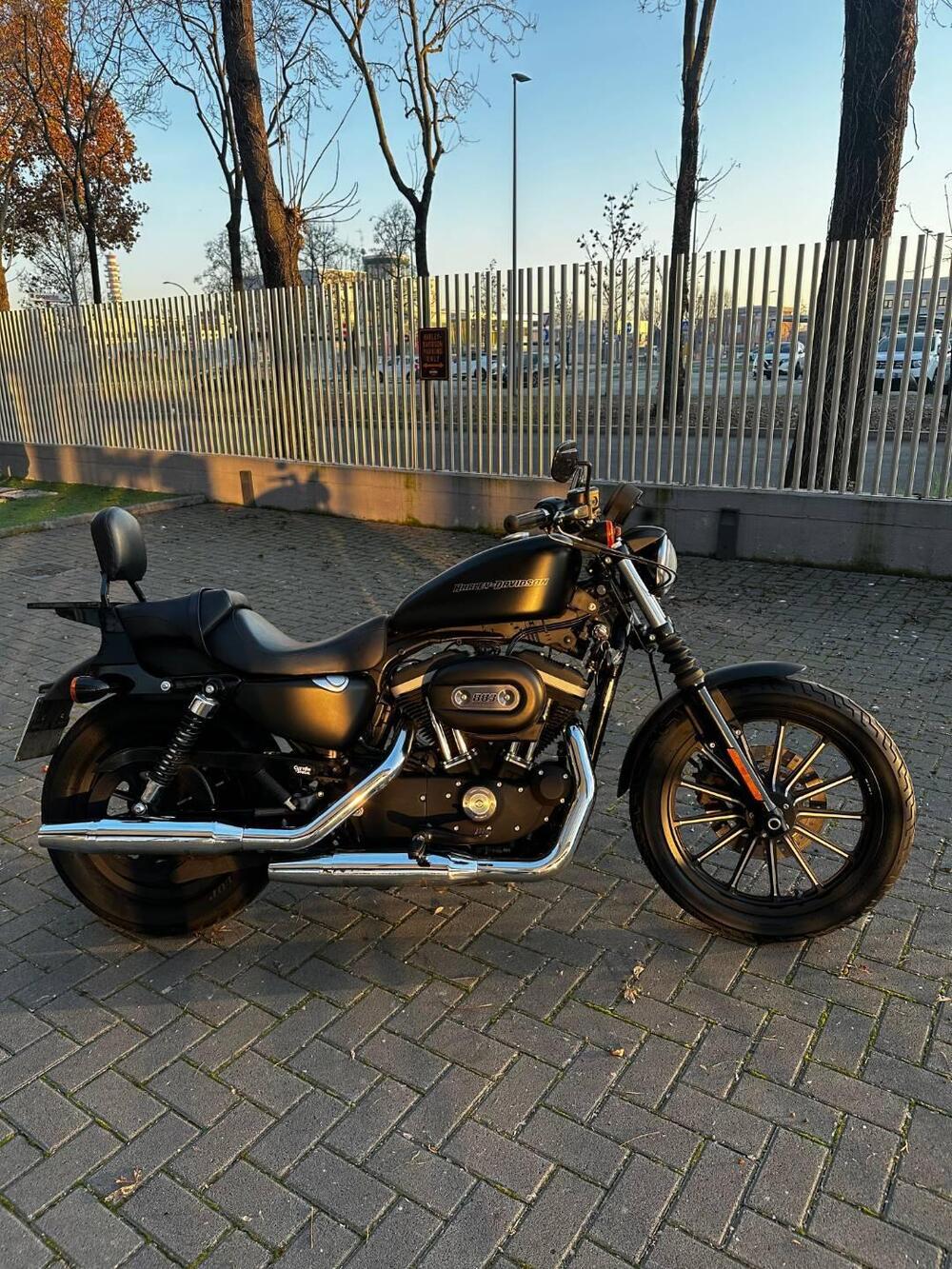 Harley-Davidson 883 Iron (2009 - 11) - XL 883N (2)
