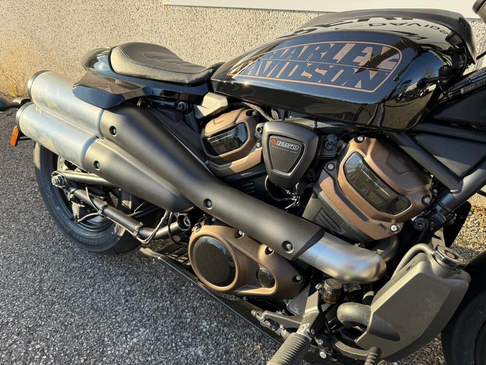 Harley-Davidson Sportster S (2022 - 24) (7)