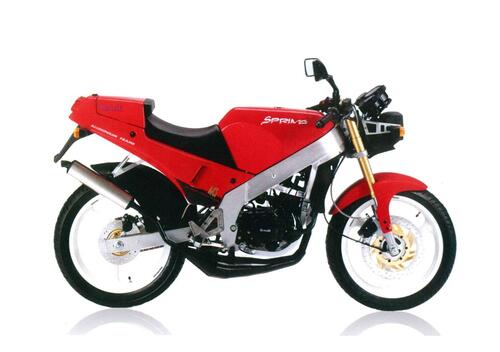 Benelli Spring 50