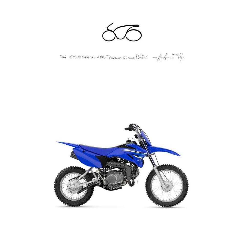 Yamaha TT-R 110 (2023)