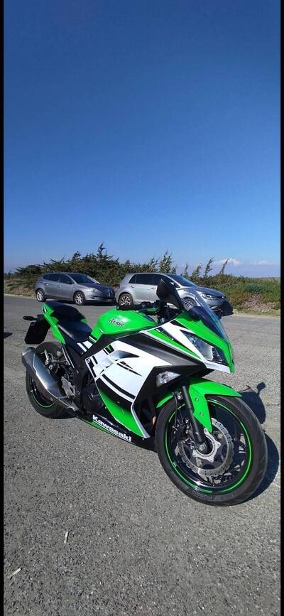 Kawasaki Ninja 300 ABS (2012 - 16) usata