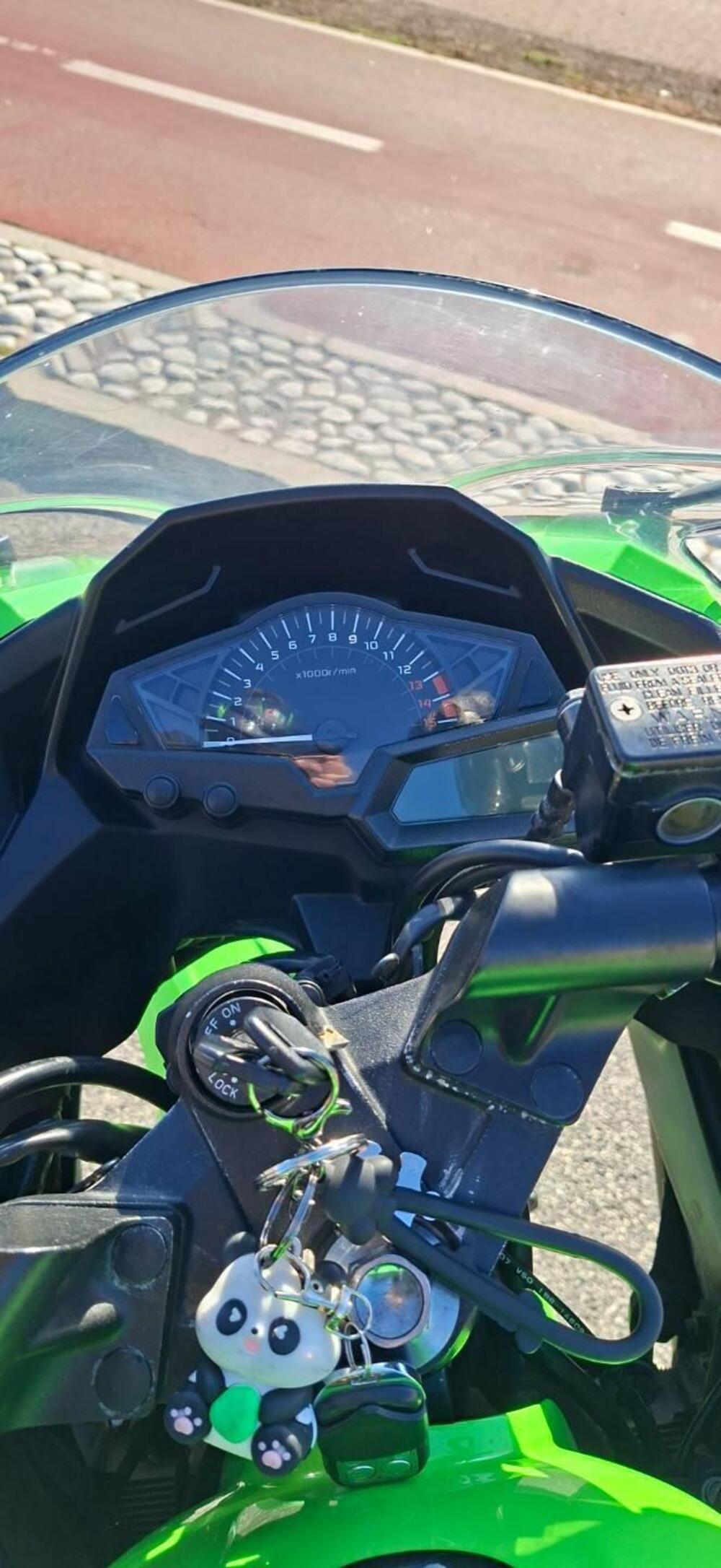 Kawasaki Ninja 300 ABS (2012 - 16) (4)