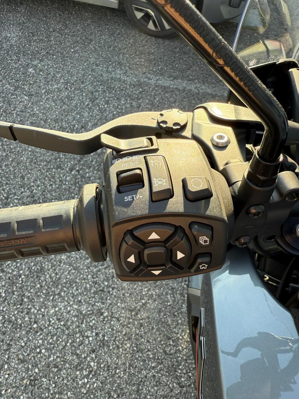 Harley-Davidson Pan America 1250 (2020 - 25) (4)