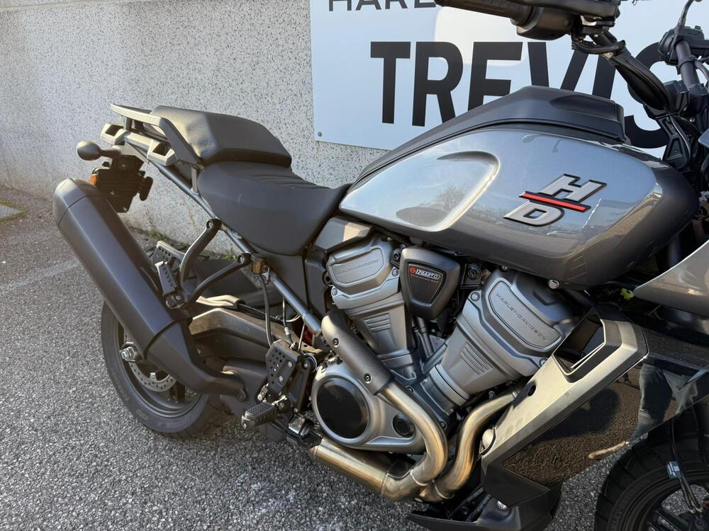 Harley-Davidson Pan America 1250 (2020 - 25) (6)