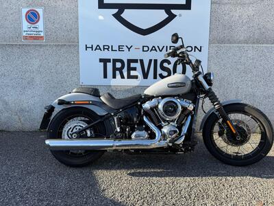 Harley-Davidson Street Bob 117 (2025) usata