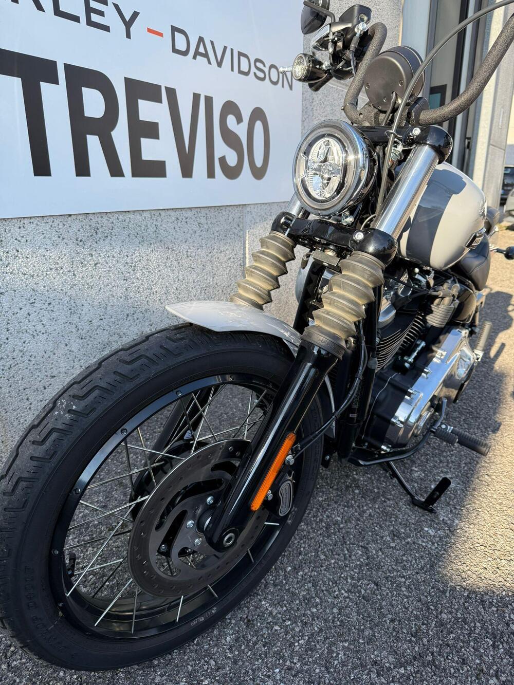 Harley-Davidson Street Bob 117 (2025) (5)