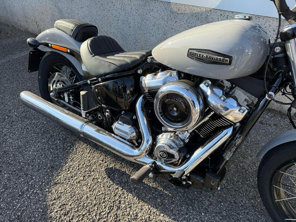 Harley-Davidson Street Bob 117 (2025) (6)