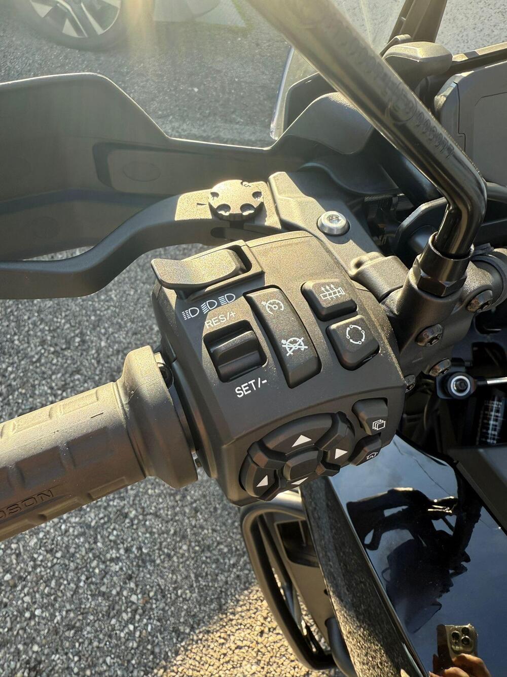 Harley-Davidson Pan America 1250 (2020 - 25) (4)