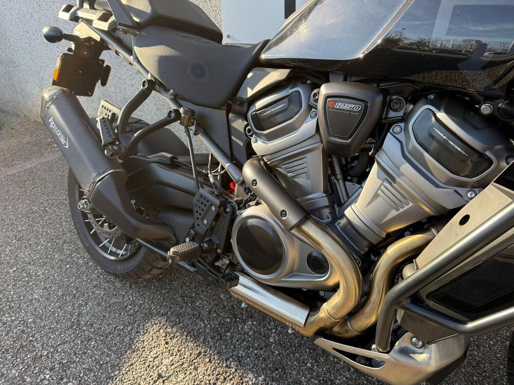 Harley-Davidson Pan America 1250 (2020 - 25) (6)