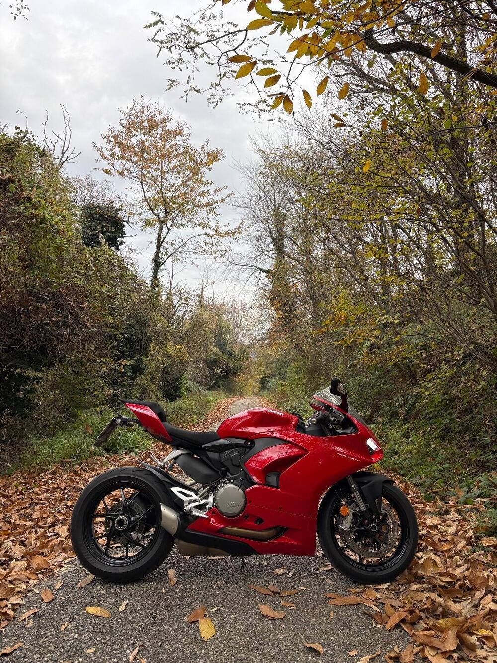 Ducati Panigale V2 (2021 - 24) (2)