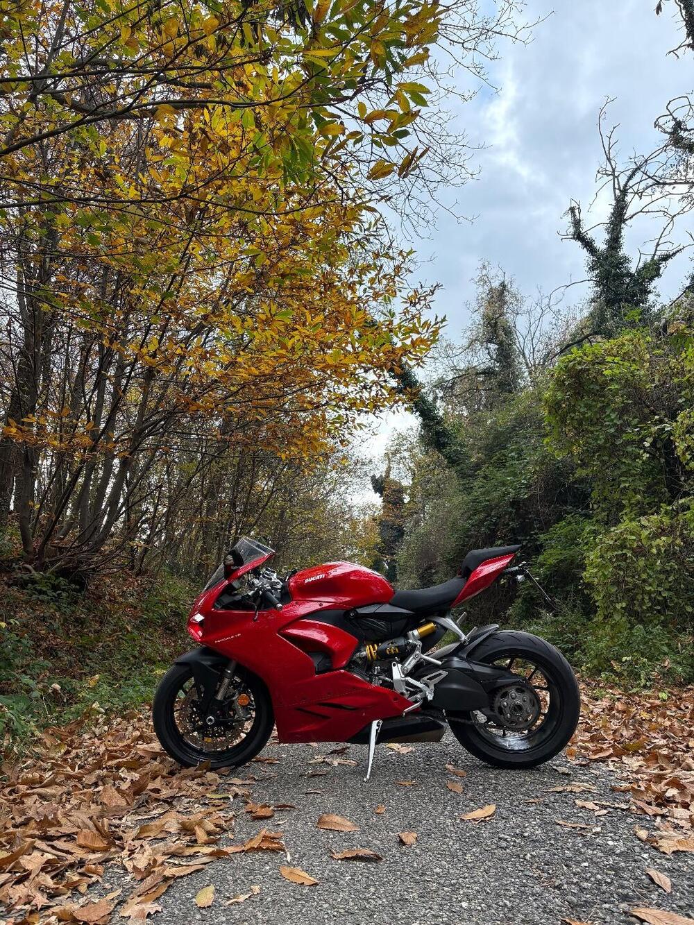 Ducati Panigale V2 (2021 - 24) (3)