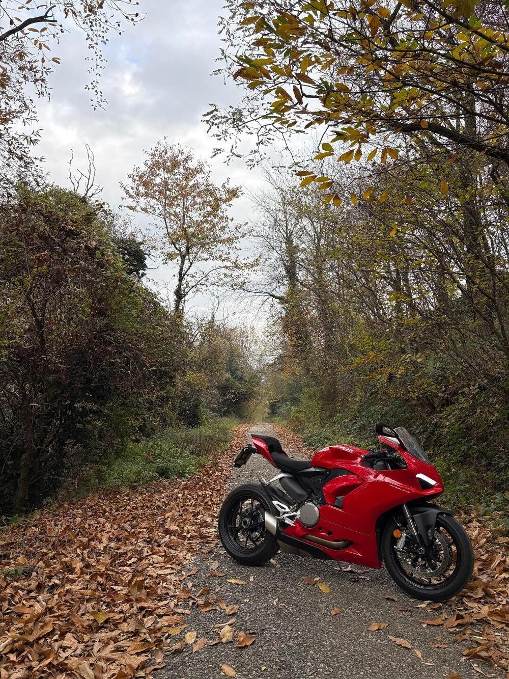 Ducati Panigale V2 (2021 - 24) (4)