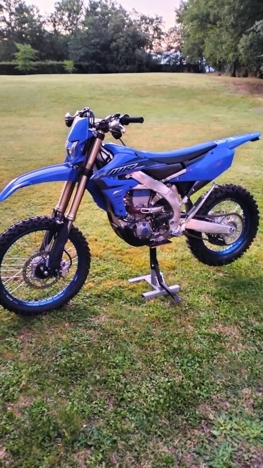 Yamaha WR 450 F (2022 - 24) (4)
