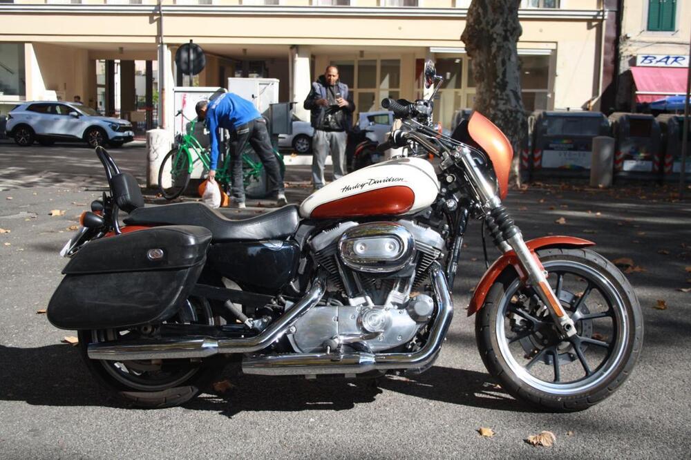 Harley-Davidson 883 Low (2008 - 12) - XL 883L
