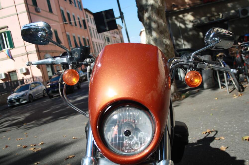 Harley-Davidson 883 Low (2008 - 12) - XL 883L (45)