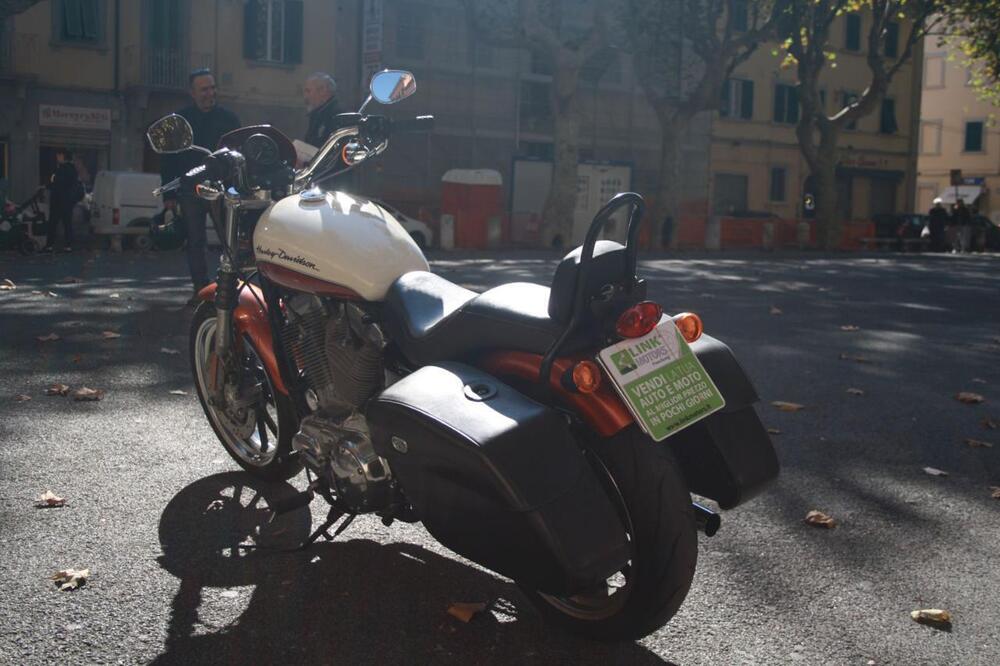 Harley-Davidson 883 Low (2008 - 12) - XL 883L (13)