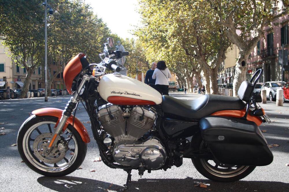 Harley-Davidson 883 Low (2008 - 12) - XL 883L (14)