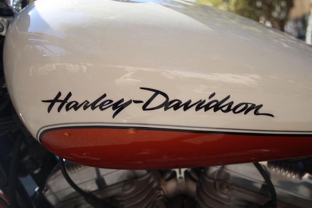 Harley-Davidson 883 Low (2008 - 12) - XL 883L (47)