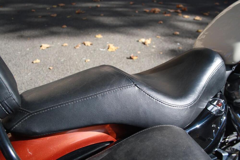 Harley-Davidson 883 Low (2008 - 12) - XL 883L (37)