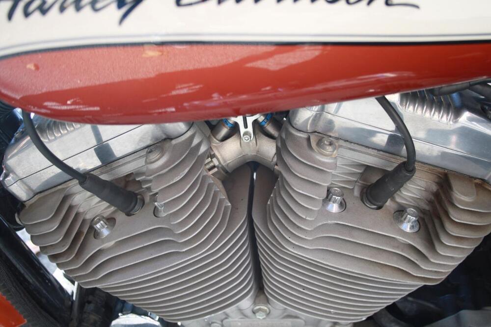 Harley-Davidson 883 Low (2008 - 12) - XL 883L (28)