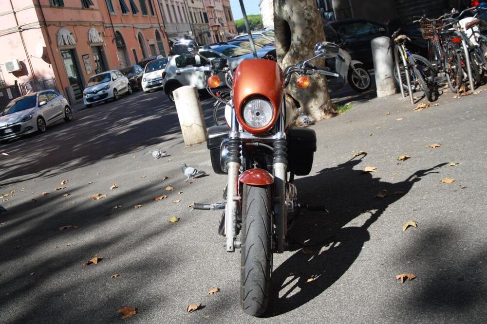 Harley-Davidson 883 Low (2008 - 12) - XL 883L (5)