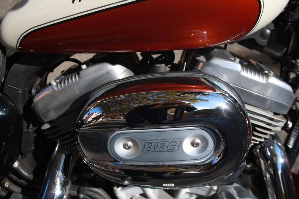 Harley-Davidson 883 Low (2008 - 12) - XL 883L (29)