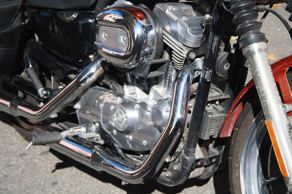 Harley-Davidson 883 Low (2008 - 12) - XL 883L (17)